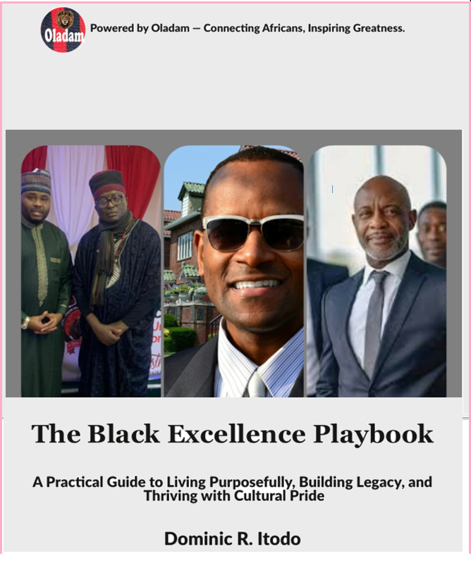 Black Excellence Playbook